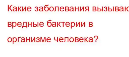 Какие заболевания вызывают вредные бактерии в организме человека?